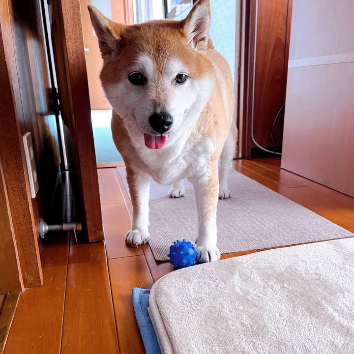 266116e3 ccf6 4c5f 8770 d83cd32f6fa7 1714363162991