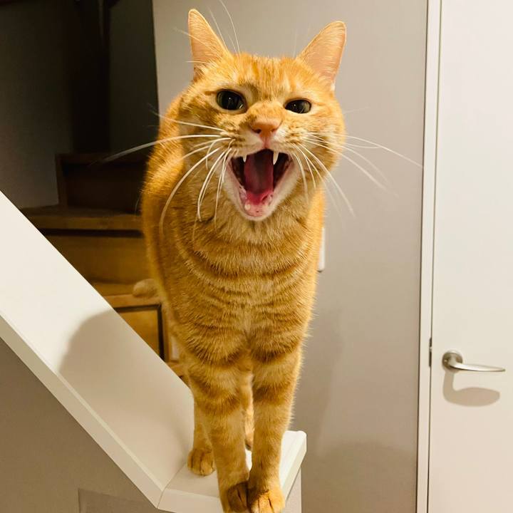 26611f46 e451 4686 a14b f43ac3c52bbc 1696890737989