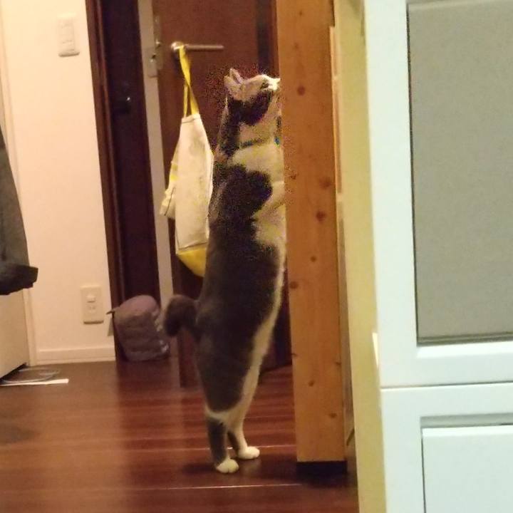 26618166 5786 4ceb 8af2 048ad545e6ff 1636546927670