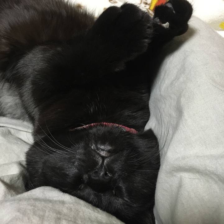 2661e0c0 88b6 4481 ad91 ae79ad4fca6a 1513085829097