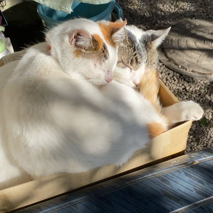 266213ec 8996 4558 96d8 ca4f9f3363ac 1609386182277