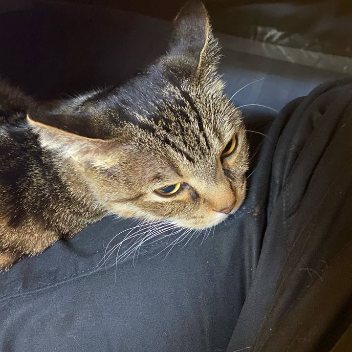 26623ee8 4ab3 4032 9326 4fd3e5f86faf 1607527028092