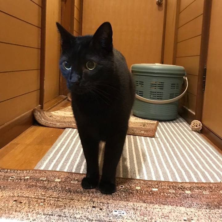 26624680 a183 4864 9ea1 46c6ac00d8d6 1526780236272