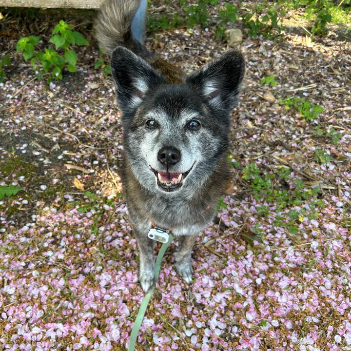 2662a9c1 a8a5 4a0d 865f 75dec0859395 1744349963814