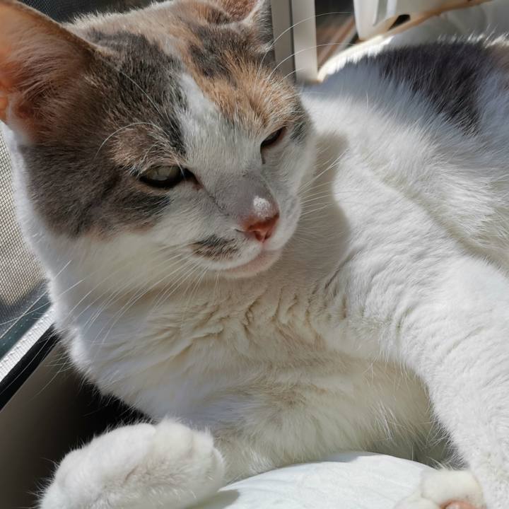 2662ac9e a2a7 4054 ad48 17af86d95ae3 1651979414036