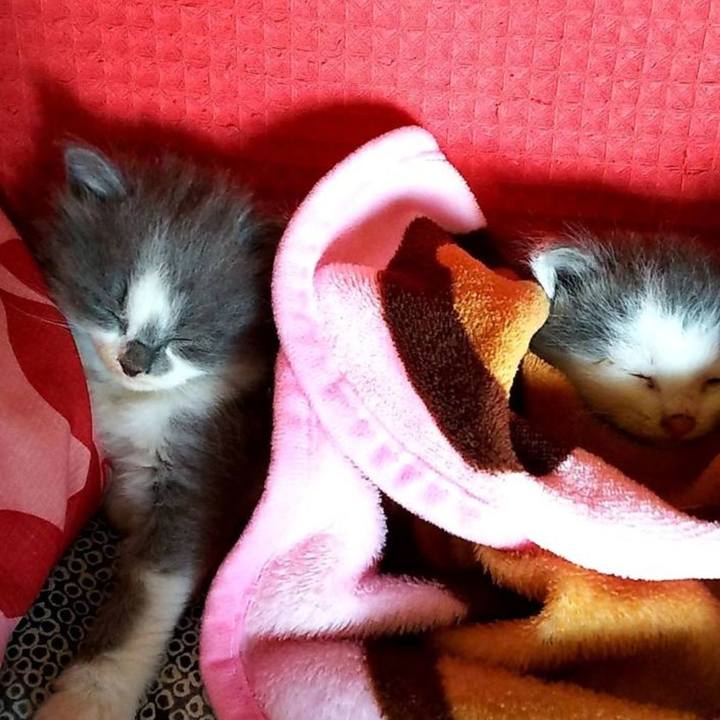 2662dc16 3674 40d0 b59d 1a730578d29e 1652909353786