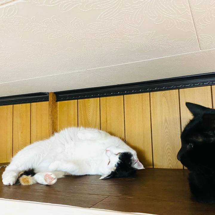 2663352b 044f 4d09 8fff da11b31d5cf1 1650058398613