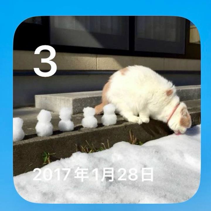 26633ced f700 4b5b b49b e2b6c8c142a1 1770122159991