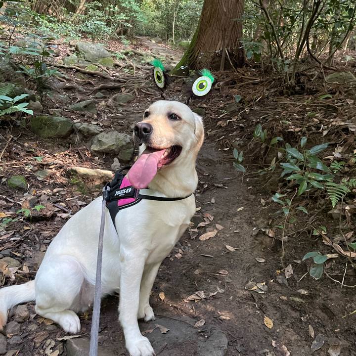 26633d81 1b59 4fdd a535 a04ef616b089 1657461743678