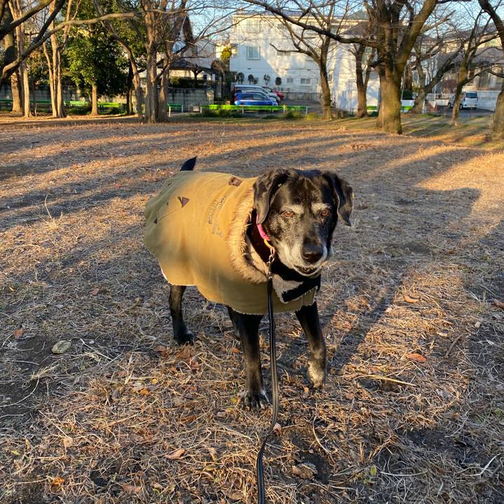 26633eb4 6c57 4c6e 8095 07238d3df5a9 1704851912644