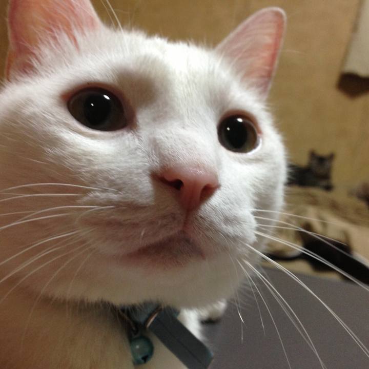 26634ff1 a75b 49b3 b5d7 37820933a038 1545903171330