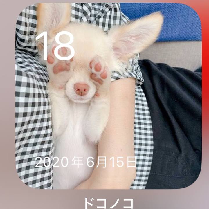 26635b66 a772 4292 908e 13f76d150741 1718708127459