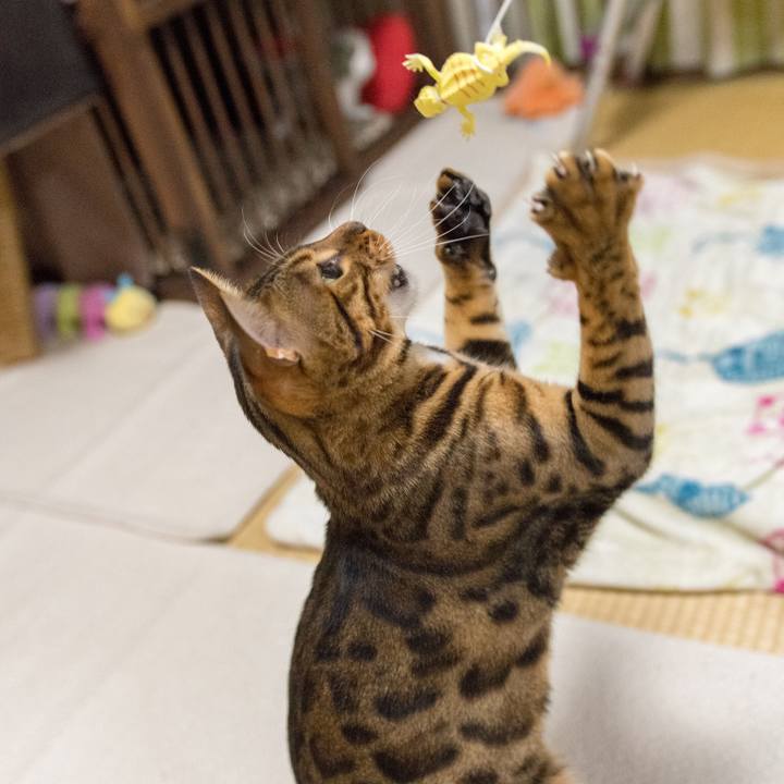 26636ccb c958 4c1b 8f51 b84be795b0c4 1518742071835