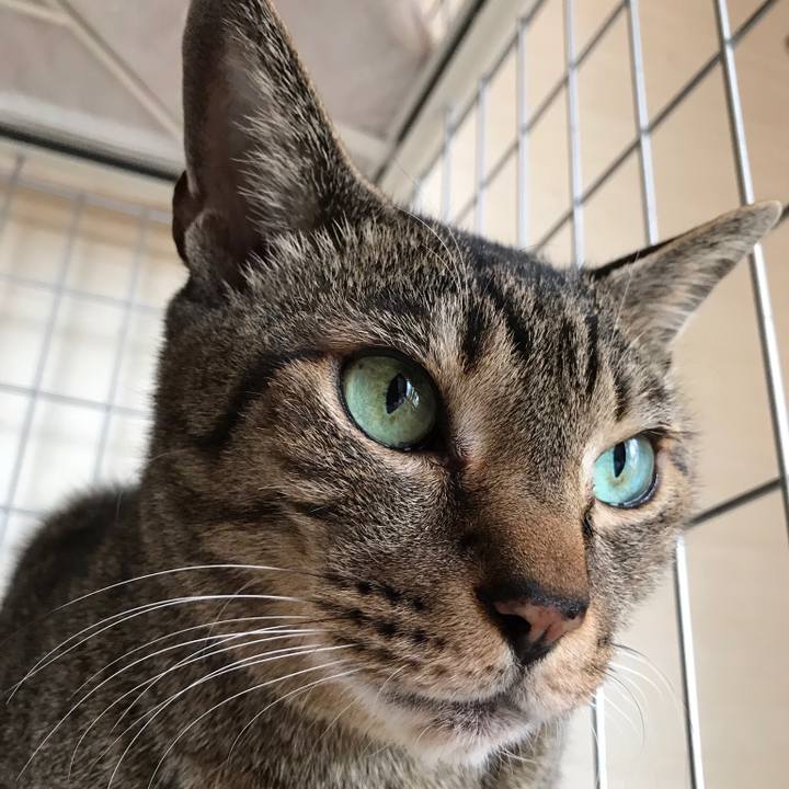 26638a42 ee7a 4990 998a b12e248eb07a 1520731982220