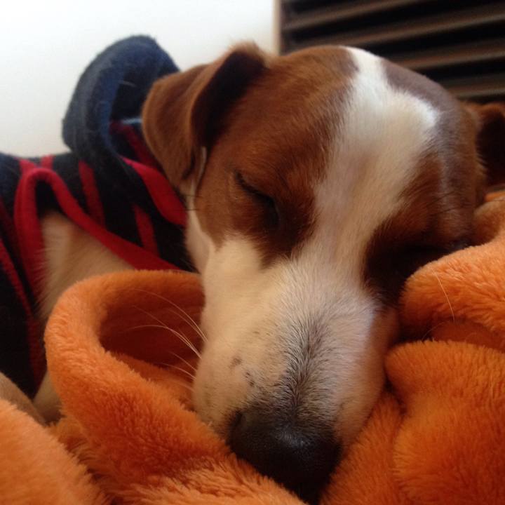 2663b976 020a 42af b10e b2ae4d34e290 1518251194413