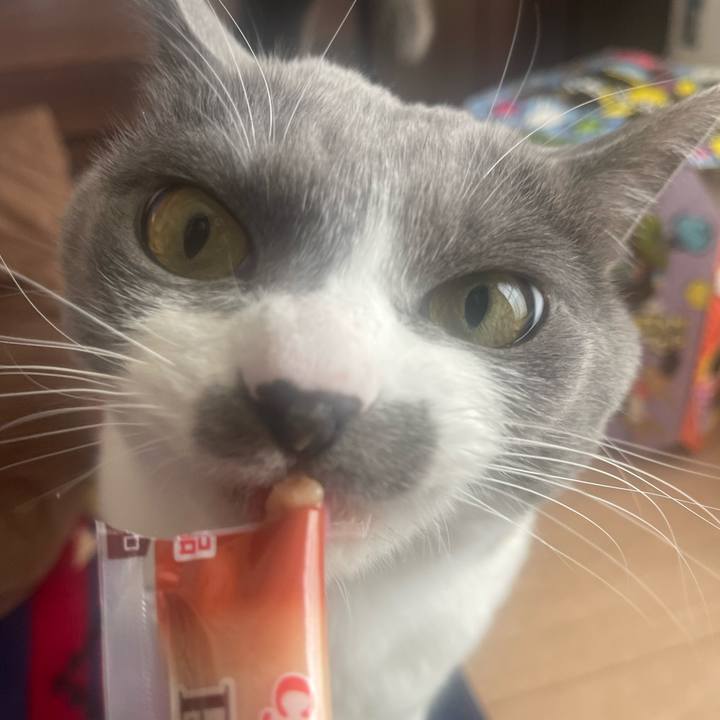 2663f79b 5641 408a ad1c ac607bee5793 1670824762970