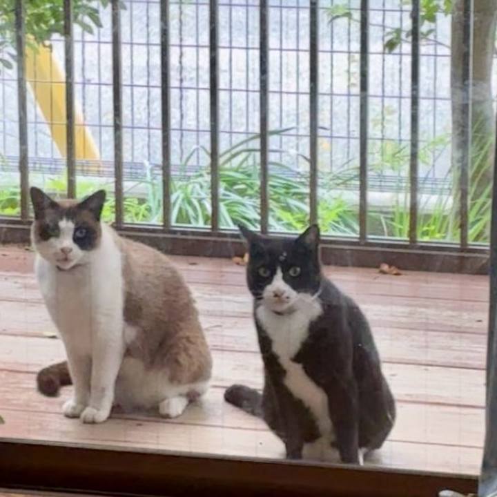 2664227f 5e35 4444 b40b 6e50f44c9f4b 1747568561172