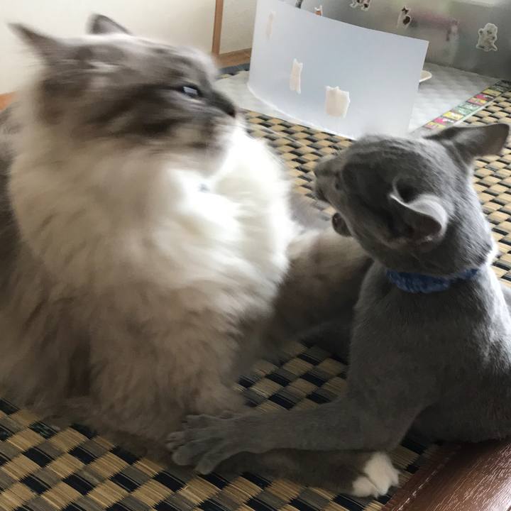 2664317f 2049 4b8c 8cac deea21611c3e 1508197382200