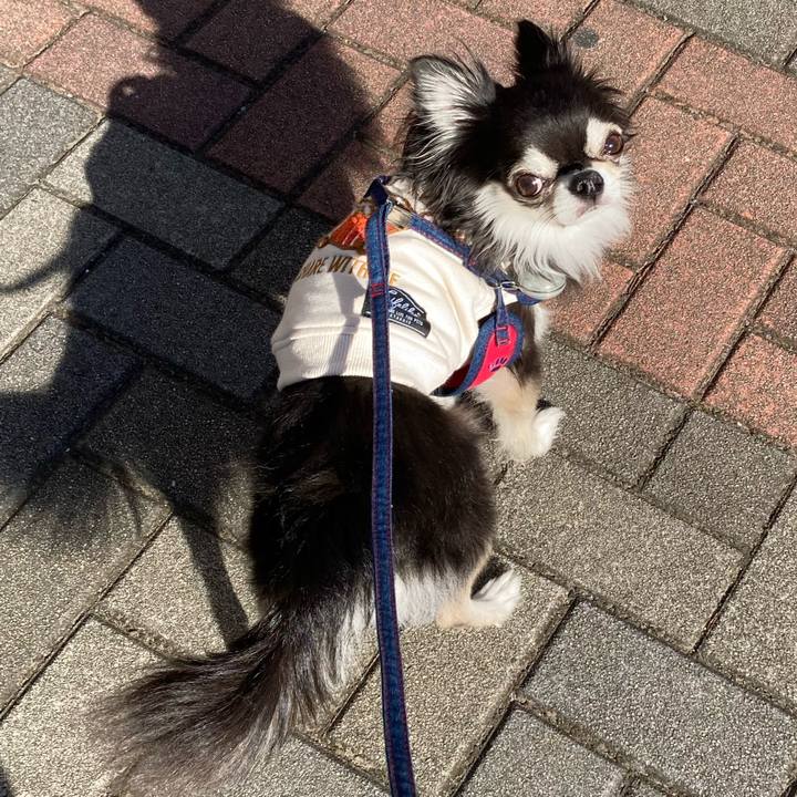 26644d3d 91e2 48e3 a669 795bbd7c95cc 1704538585280