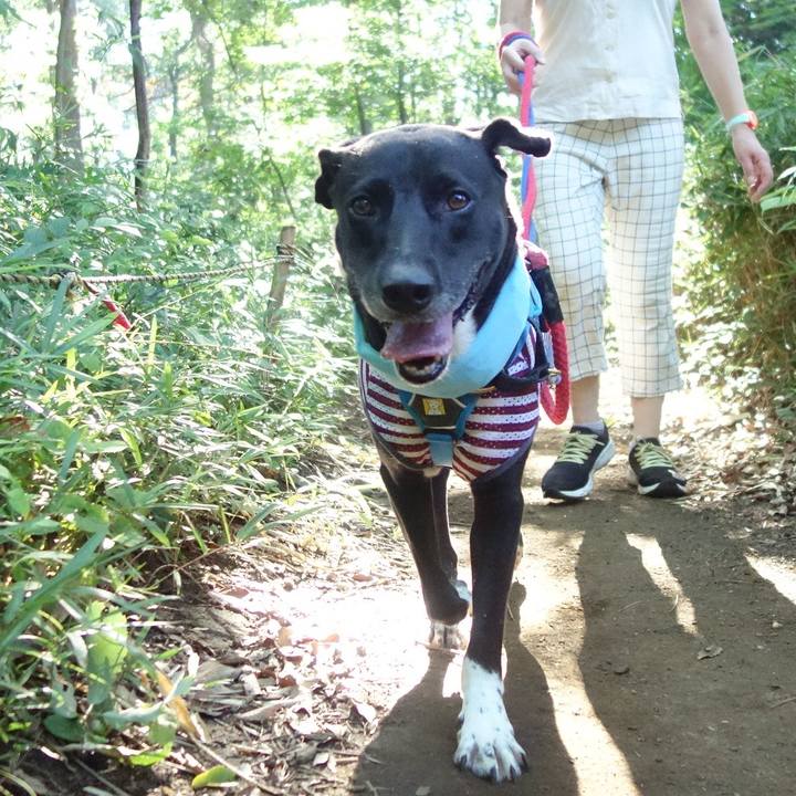 26647b0e de5d 471b 9dcd b2dec47db5cb 1628121408108