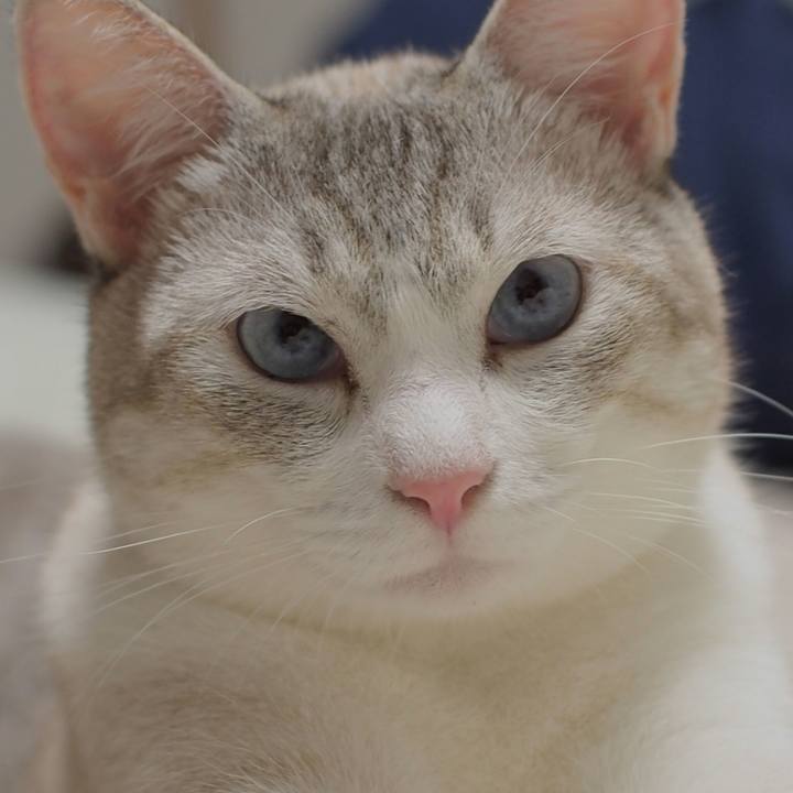 26649c51 3574 407d 8ddc 22a67cc941db 1535542352744