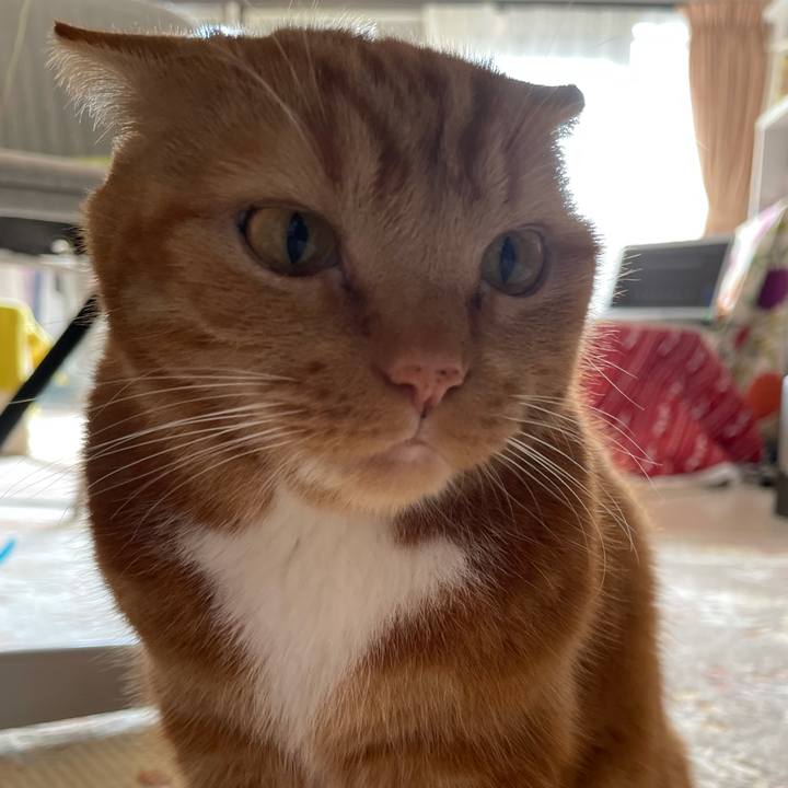 2664ab75 3615 422c a797 eac72bdc7391 1639278275286