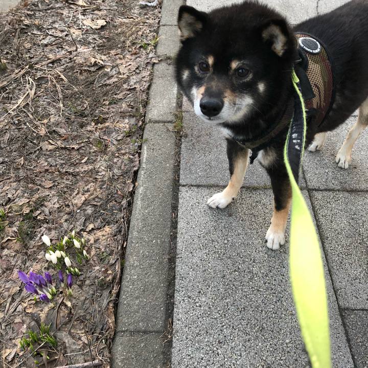 2664b6da bbe5 48e8 bf00 1aa0ff7b73ef 1522751673238