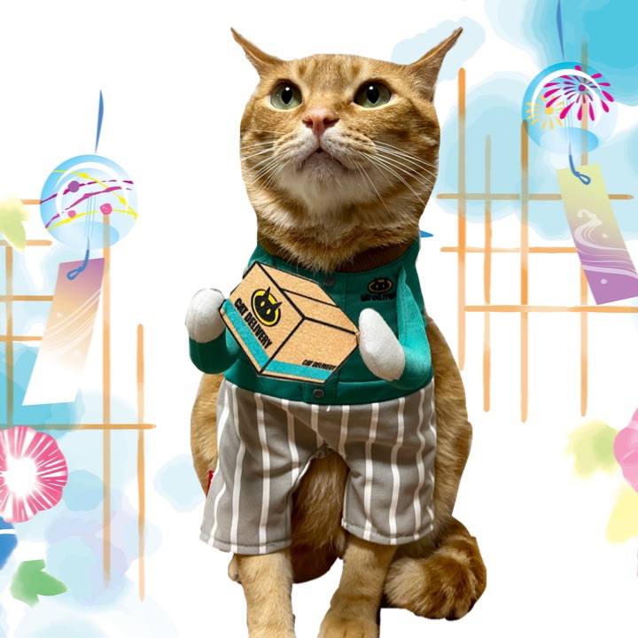 2664c48c 0f81 4bd2 a385 11c9df2bf0ea 1656805979174