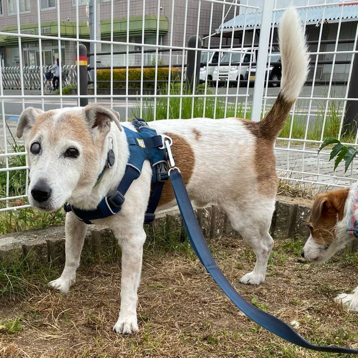 2664d1a6 af34 4a47 8405 c36c8ecde247 1683336022644