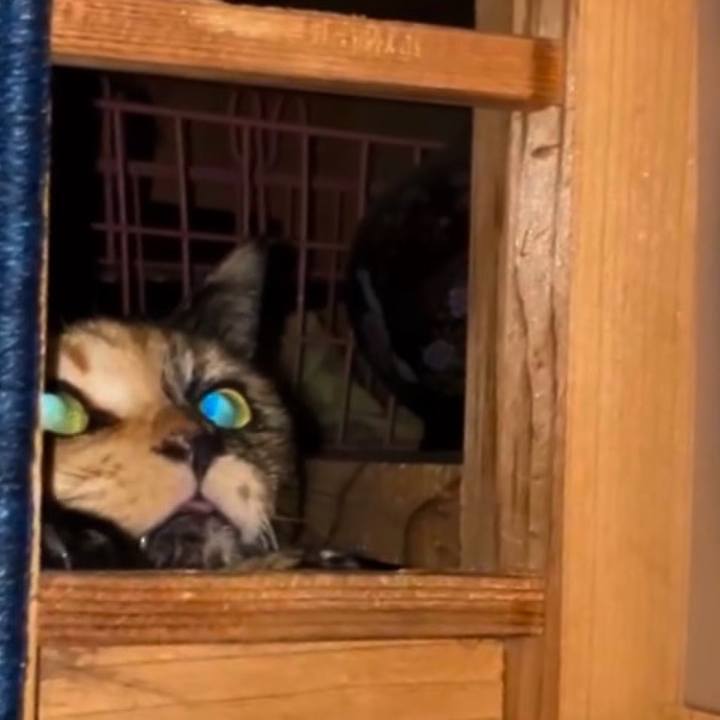 2664d9cc 4c04 41da 8e7c db36b2e9ecad 1741465443584