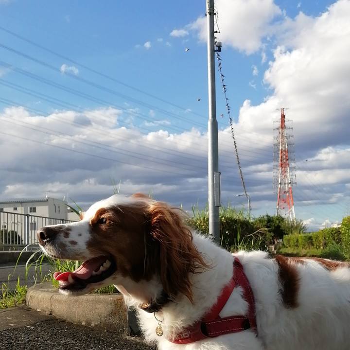 2664e582 7723 417b b43e 9cbbc0fa7815 1567760369208