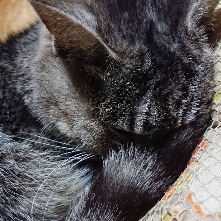 2665256b 2183 43e3 8c7d 054427d78e82 1578401667343