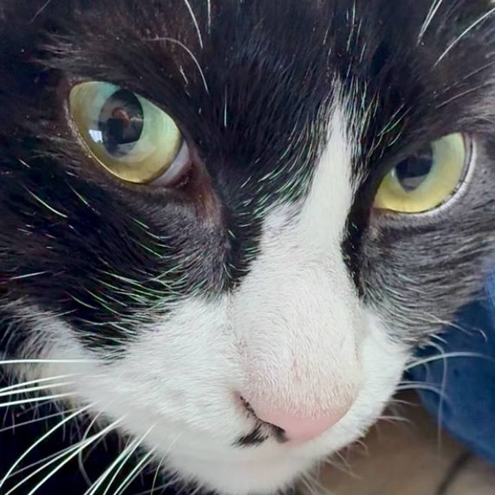 266525f0 0d27 4263 99e6 649e96725040 1763604864773