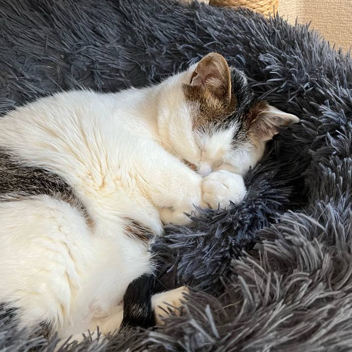 2665309e 6ac3 4ae6 a50e 6b2ecbd63fb9 1646399804945