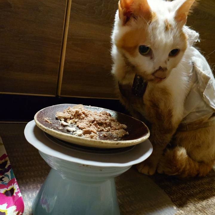 2665773b a2d2 42a2 ad13 8621acac89ad 1773583579661