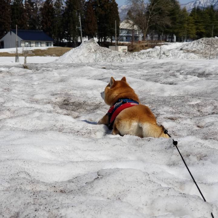 2665ece4 e22a 4569 8fe8 553107dc23d3 1552363412145