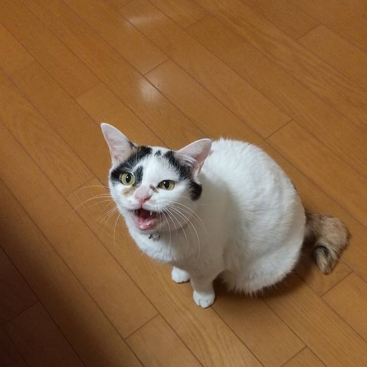 2665ffd7 1147 412a 88ac 3687c27e5de8 1579443516402