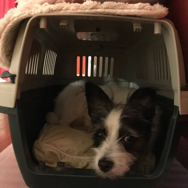 266605df 68c3 45e2 8ec6 1be879e64d41 1566208760201