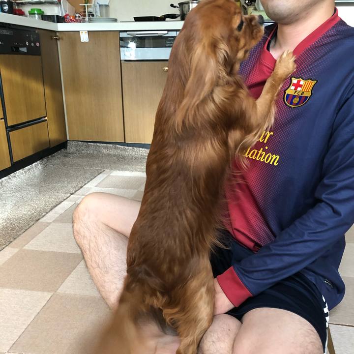 26663564 25a1 47e3 9ea3 376b21b7695a 1573254000779