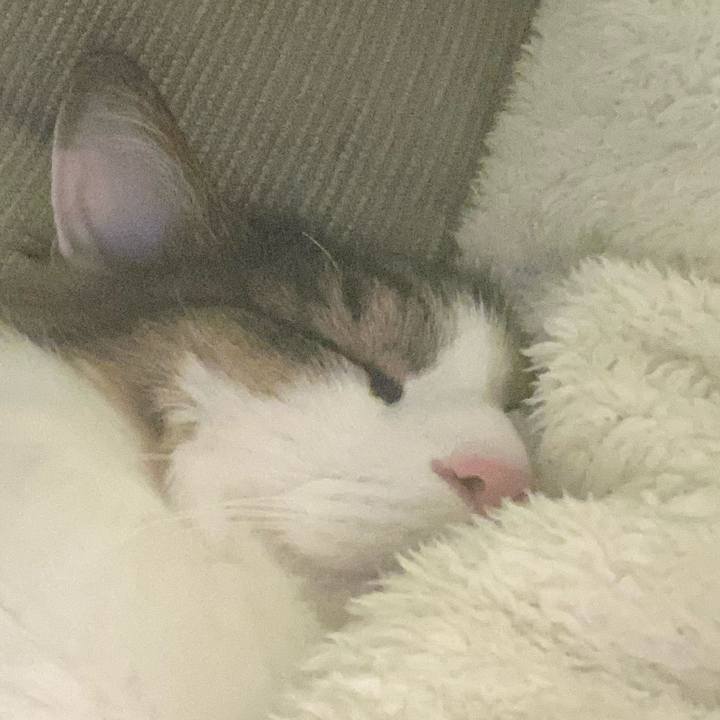 26665668 25ff 407e bb39 2473bea5dcc3 1578712211996