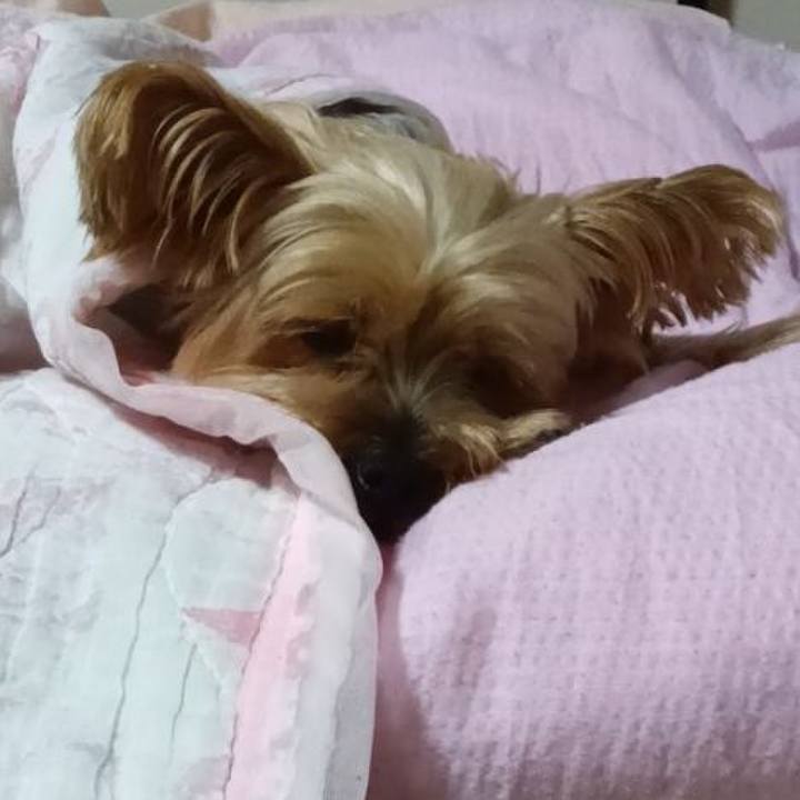 26665ae9 81e4 4f9e b286 e32817e43a40 1762862805598