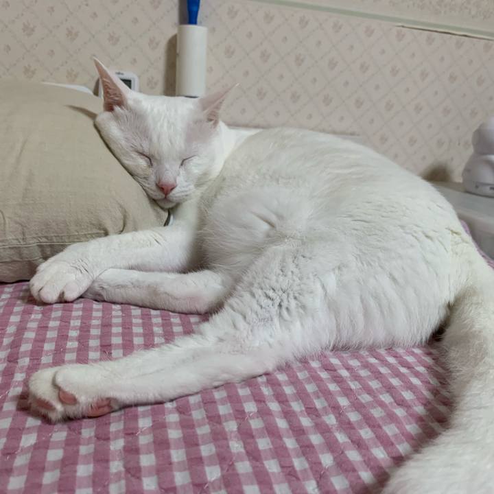 2666642a 6fc4 49b7 a604 3e816b3231ff 1630328369508