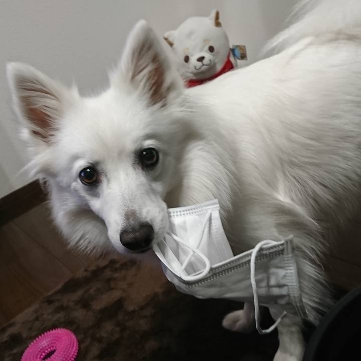 26667e65 db3e 4ac3 a7d1 8b329c52425a 1523878759104