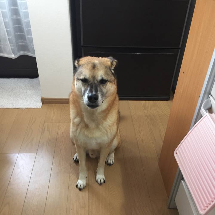 26668960 4be8 4d7b ad1d ee34474c3d61 1538790721032