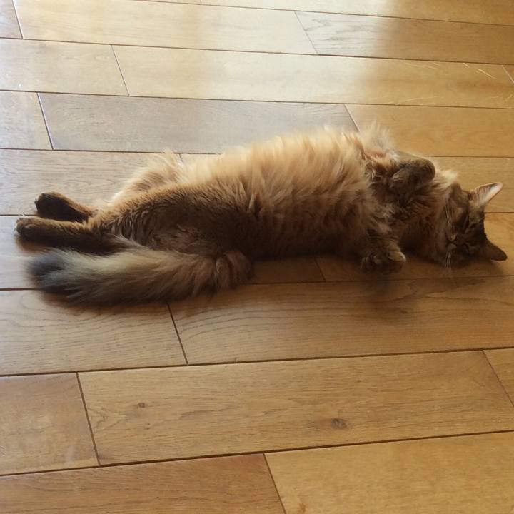 26669279 fdb1 4667 b3a3 2a031e8f25c0 1623292236753