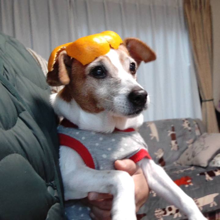 266698bc c7c6 4c90 9fd9 bb0ae0eb8414 1766926118513