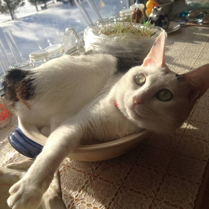 2666a5d4 0beb 4755 ba85 6e28c281e446 1516409741975