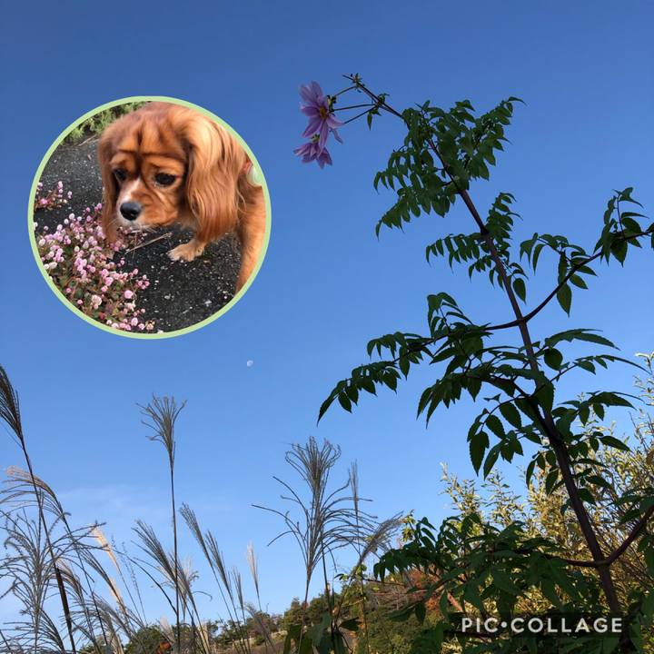 2666b185 475e 4746 8376 1459584c8d51 1573964578411