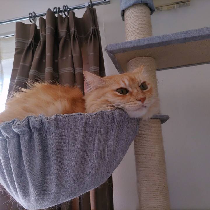 2666bd62 3af0 4409 9eff 356773b132a6 1697267084840