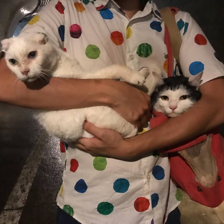 2666d27d a6b5 4593 9cab 60c2bb39d8db 1565746957496